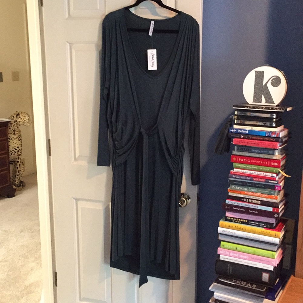 Teal rachel pally front tie dress